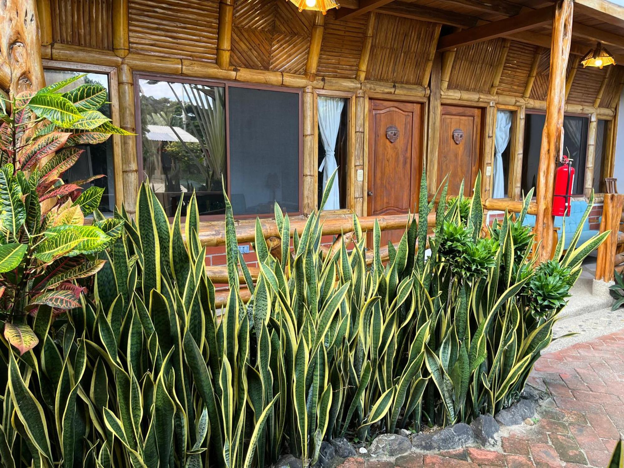 Victor Hugo Hotel Puerto López 외부 사진