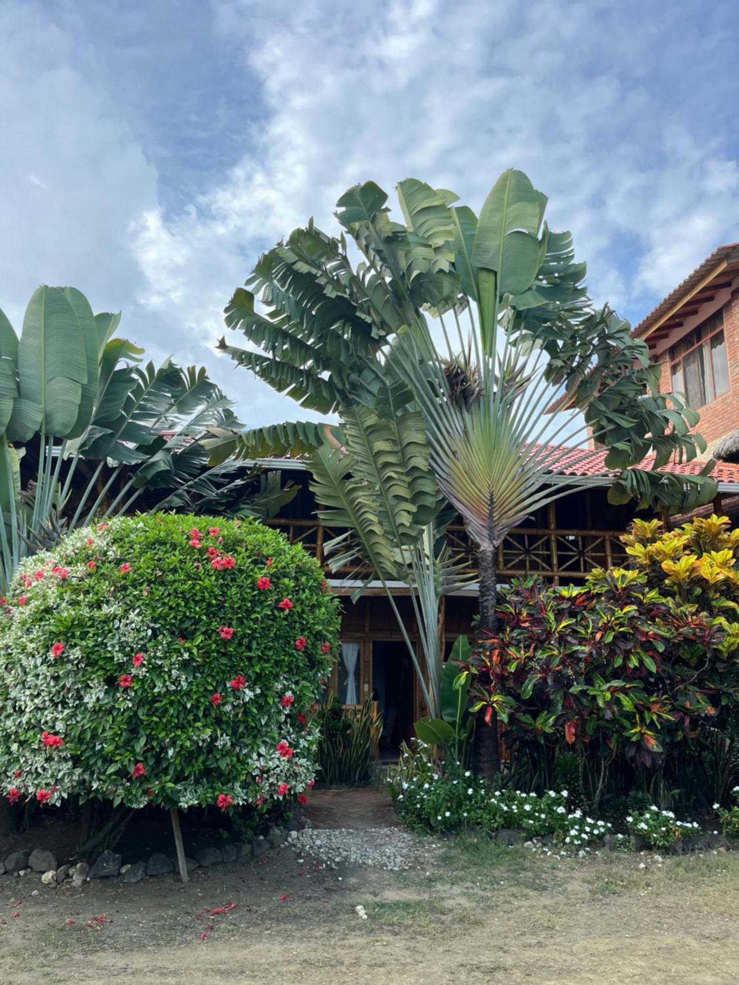 Victor Hugo Hotel Puerto López 외부 사진